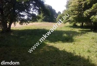 Działka budowlana położona w miejscowości Chrzanów Mały k/Milanówka. - 3