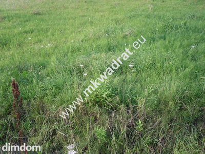 Do sprzedania dwie śliczne działki z wylaną płytą fundamentową pod bliźniaka -440 m2 i wyprowadzonymi wszystkimi uzbrojeniami, położone w sąsiedztwie domów jednorodzinnych w bardzo atrakcyjnej okol… - 2