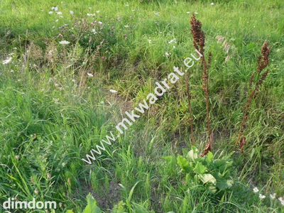 Do sprzedania dwie śliczne działki z wylaną płytą fundamentową pod bliźniaka -440 m2 i wyprowadzonymi wszystkimi uzbrojeniami, położone w sąsiedztwie domów jednorodzinnych w bardzo atrakcyjnej okol… - 3