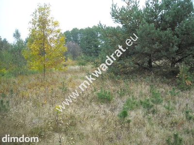 Piękna | mega cena | MPZP 30% | Sucha | zieleń LUX - 5