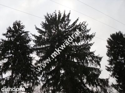 Działka 4000m MPZP Stanisławów - 3
