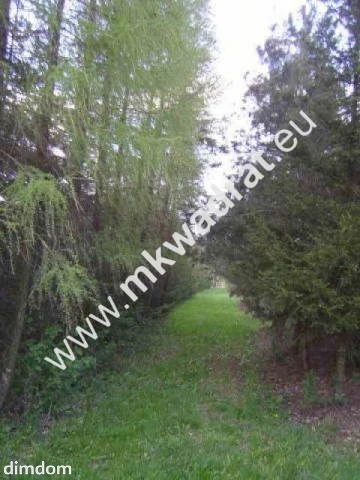 Działka budowlana o powierzchni 6270 metrów w kształcie odwróconej litery "L"  o wymiarach 32*90 od drogi oraz około 70 *50 zlokalizowana - 2