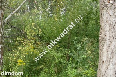 Do sprzedania działka o powierzchni 3830 m2, położona ok. 1 km od kompleksu leśnego i zalewu (Zbiornika Komorowskiego). Działka jest zabudowana halą o powierzchni 1000 m2. Podana wartość nieruchomośc… - 5