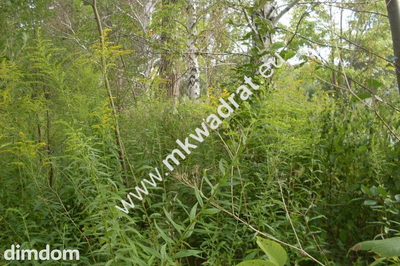 Do sprzedania działka o powierzchni 3830 m2, położona ok. 1 km od kompleksu leśnego i zalewu (Zbiornika Komorowskiego). Działka jest zabudowana halą o powierzchni 1000 m2. Podana wartość nieruchomośc… - 2
