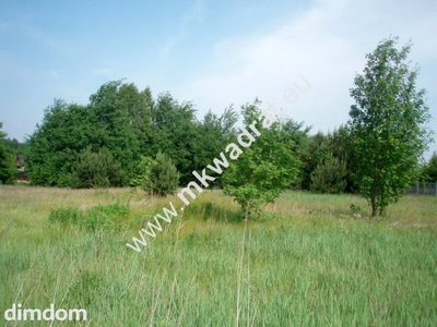 Działka usługowa, MPZP dopuszcza usługi różne - 4