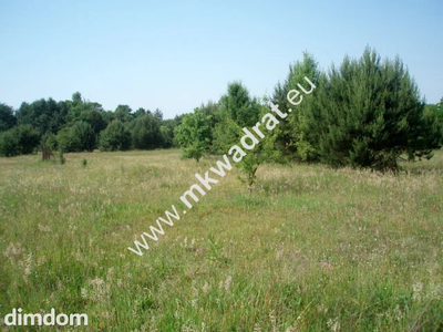 Działka usługowa, MPZP dopuszcza usługi różne - 3