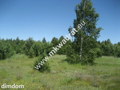 Urocza działka rolna o powierzchni 4.000m2 zlokalziowana w Grzegorzewicach gmina Żabia Wola. Zadrzewiona samosiejkami brzózek i sosenek. Na działce znajduje się prąd, linia telefoniczna (internet).…