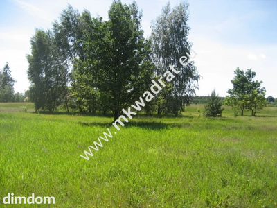 Urocza działka rolna o powierzchni 4.000m2 zlokalziowana  w Grzegorzewicach gmina Żabia Wola. Zadrzewiona samosiejkami brzózek i sosenek. Na działce znajduje się prąd, linia telefoniczna (internet).… - 2