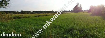Trzy w jednej! Perfekcyjna oferta super kształt - 2