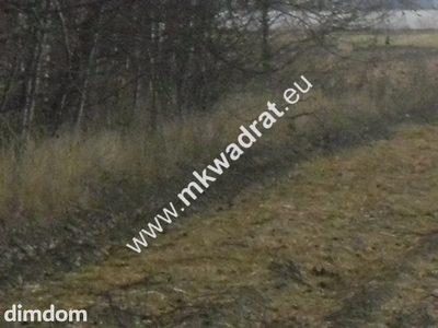 Pęcice działka w atrakcyjnym miejscu 10.500 m2 - 2