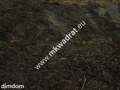Ciekawa działka inwestycyjna w Pęcicach Małych - 5