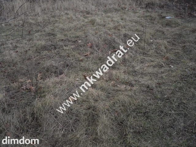 Ciekawa działka - 43283305.jpg