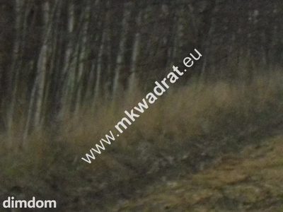Ciekawa działka - 4