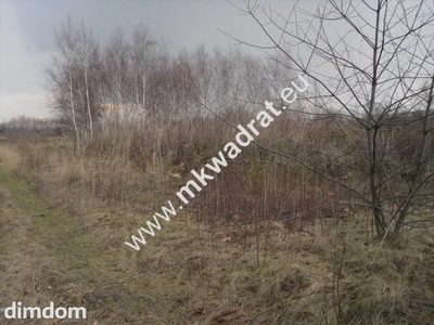 Ciekawa działka - 5