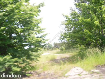 Oaza ciszy i spokoju - 5