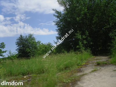 Oaza ciszy i spokoju - 4