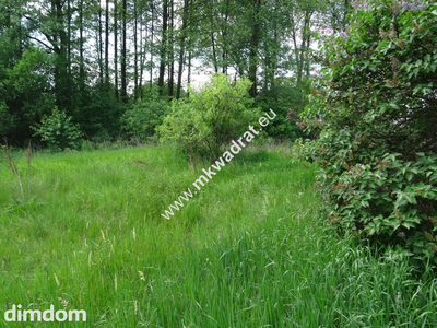 ⭐⭐⭐⭐⭐ Dwie działki 1900 + 3600m2 ⭐⭐⭐⭐⭐
