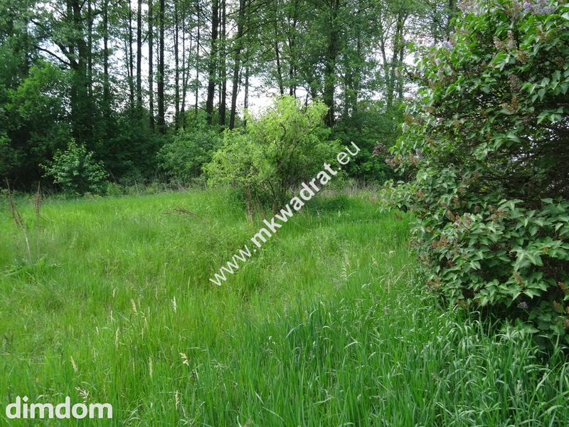 ⭐⭐⭐⭐⭐ Dwie działki 1900 + 3600m2 ⭐⭐⭐⭐⭐ - 46174048.jpg