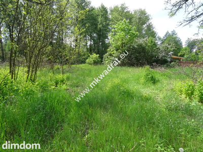⭐⭐⭐⭐⭐ Dwie działki 1900 + 3600m2 ⭐⭐⭐⭐⭐ - 4