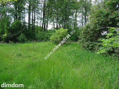 ⭐⭐⭐⭐⭐ Dwie działki 1900 + 3600m2 ⭐⭐⭐⭐⭐ - 5