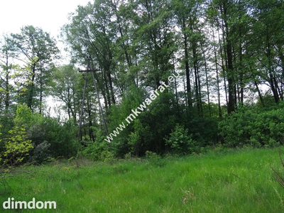 ⭐⭐⭐⭐⭐ Dwie działki 1900 + 3600m2 ⭐⭐⭐⭐⭐ - 2