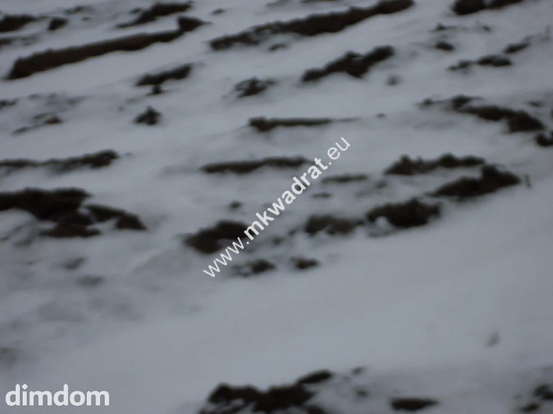 Działka 6450 m2 z domem i halą. - 51756871.jpg