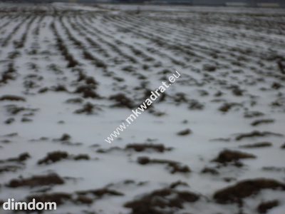 Działka 6450 m2 z domem i halą. - 4