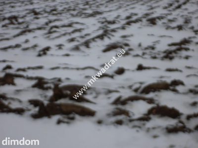 Działka 6450 m2 z domem i halą. - 5