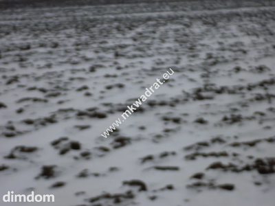 Działka 6450 m2 z domem i halą. - 2