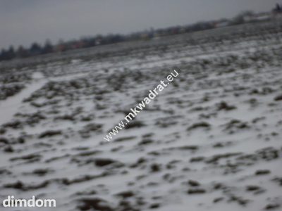 Działka 6450 m2 z domem i halą. - 3