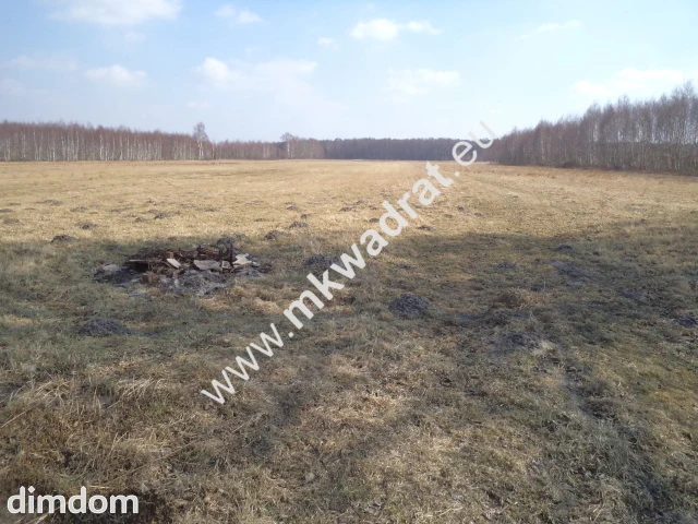Duża działka rolna w miejscowości Hipolitów - 47533661.jpg