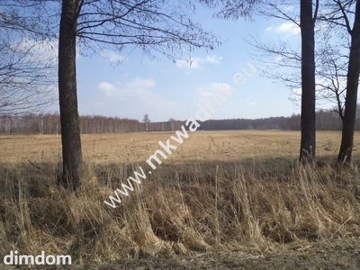 Duża działka rolna w miejscowości Hipolitów - 3