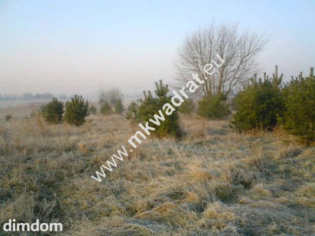 Teren pod inwestycje w gm.Teresin - 47544736.jpg