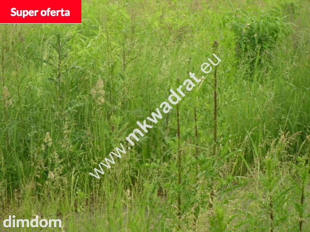 Zachwycająca działka w Żelazowej Woli - 47648946.jpg