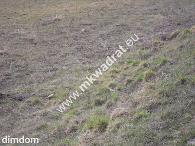 Zachwycająca działka w Żelazowej Woli - 2