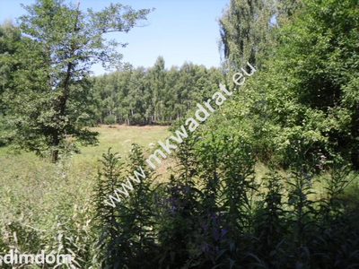 Działka budowlana w malowniczym Żółwinie - 2
