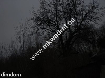 Działka siedliskowa - 3