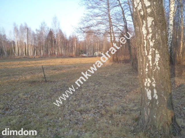 Działka budowlana! z lasem 1/3 pow. w m.Stare Budy - 48036817.jpg