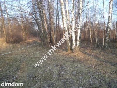 Działka budowlana! z lasem 1/3 pow. w m.Stare Budy - 3