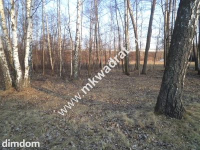 Działka budowlana! z lasem 1/3 pow. w m.Stare Budy - 4