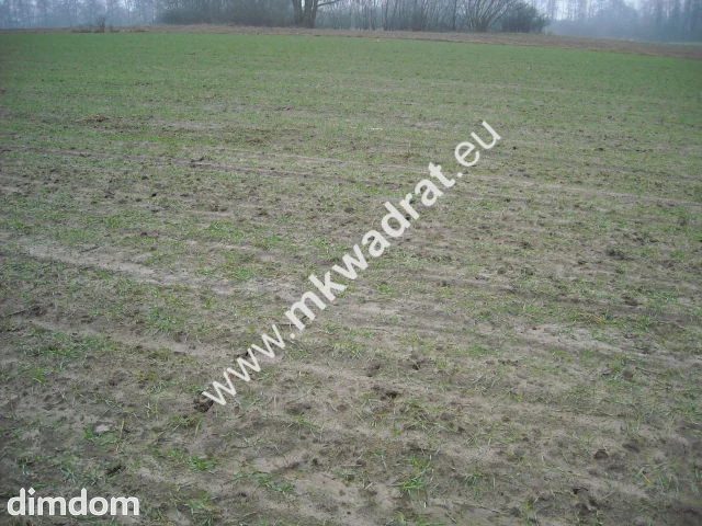 Działka z warunkami zabudowy - 47907010.jpg