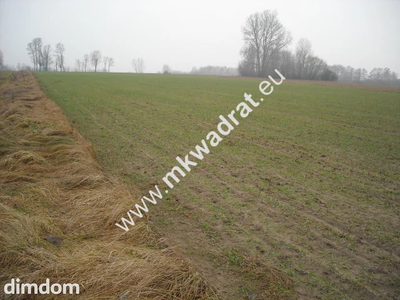 Działka z warunkami zabudowy - 2