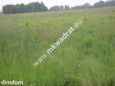 Działka w bardzo atrakcyjnym miejscu. - 2