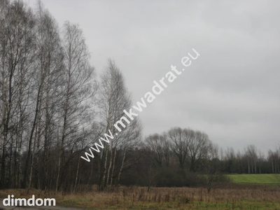 Radziejowice 31.900m2 przemysłowo-usługowa