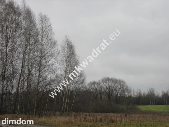 Radziejowice 31.900m2 przemysłowo-usługowa - 51407596.jpg