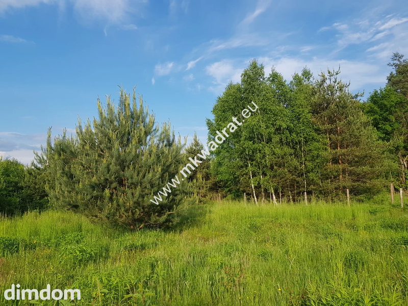 Działka w ciekawej lokalizacji z planem zagosp. - 81746294.jpg