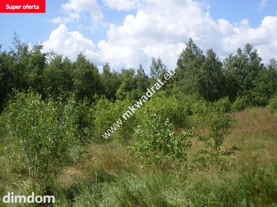 Super lokalizacja, piękny kształt.