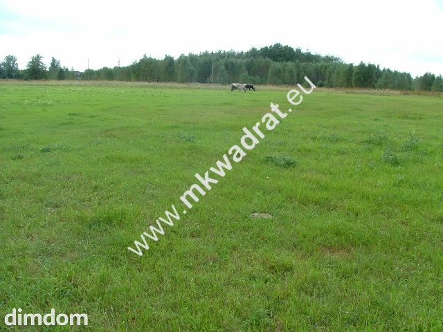 CIEKAWA OFERTA DLA DEVELOPERA ! - 56426734.jpg
