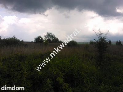 Rewelacja pod inwestycje, blisko A2, dobry kształt