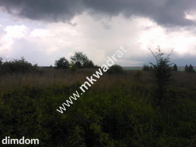 Rewelacja pod inwestycje, blisko A2, dobry kształt - 58743324.jpg